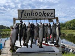 7 pink salmon caught during fishing trip in Mexico