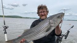 Striped bass caught while fishing in NY