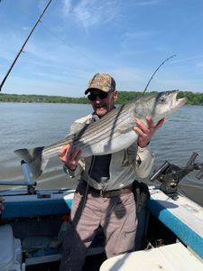 Striped bass fishing in Mexico