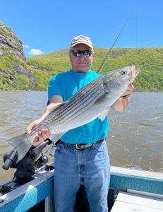 Striped bass caught while fishing in Mexico