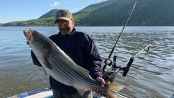 Striped Bass fish caught in NY