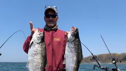 Two sea trout and rainbow trout, 16 inches long, caught fishing in NY.