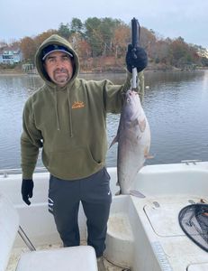 Epic Lake Wateree Fishing! 