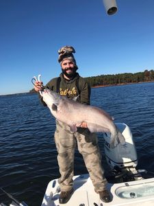 Fish-Species