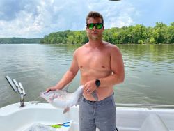Fish-Species