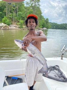 Fish-Species