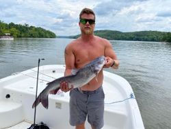 Fish-Species