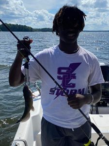 Fish-Species