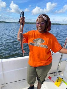 Fish-Species