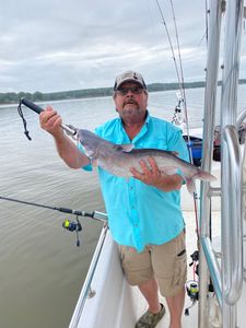 Lake wateree catfishing South Carolina 