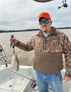 Lake wateree catfishing South Carolina 