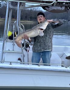 45lb flathead lake wylie