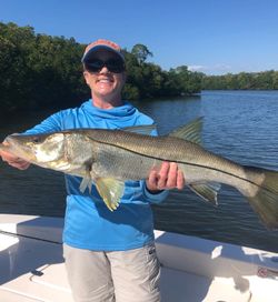 Snook Caught Off Of Sanibel While Inshore Fishing 