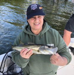 Pine Island Sound Fishing Adventures