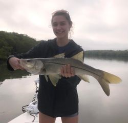 Snook Fishing In Lee County Florida