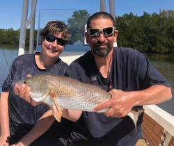 Redfish Catches. Pine Island FL