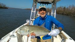 Crevalle Jack Fishing Pine Island FL