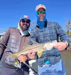 Guided Snook Fishing trips In Florida