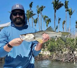 Great Day for Snook Fishing. Pine Island Fl
