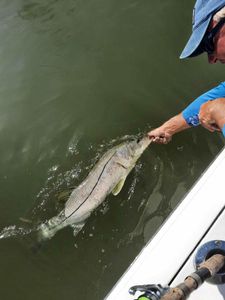 Pine Island Fly Fishing Guides