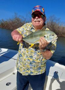 Crevalle Jack. Pine Island Wonders