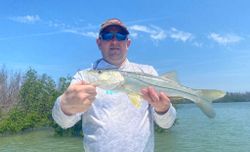 Snook Beauty. Pine Island FL
