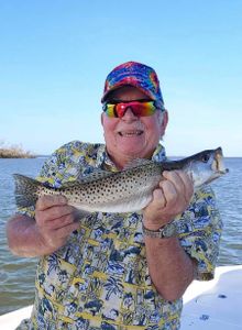 Speckled Beauty, Pine Island