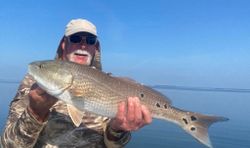 Radiant Redfish Moments Pine Island FL