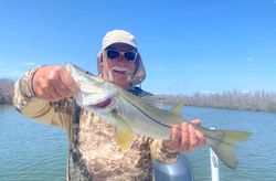 Sought-After Snook Snapshots