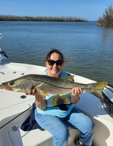 Finest Snook Found In Florida