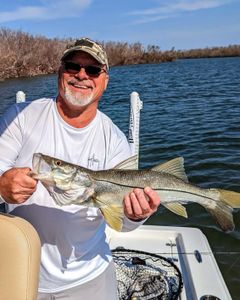 Great snook fishing can be found all winter