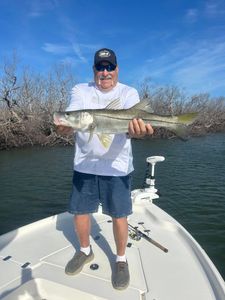 Snook fish caught in FL