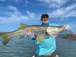 Snook fish caught while fishing in St James City
