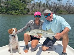 2 snook fish caught while fishing in FL
