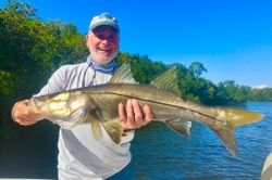 Snook fishing in St James City