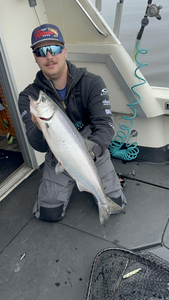 Coho Salmon fishing in Superior