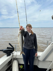 One fisherman holding a 24-inch catch in WI