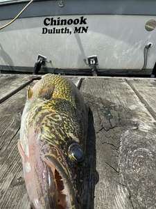 One fish caught in WI during fishing trip
