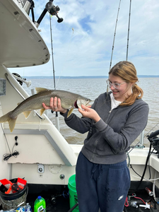 A lone lake trout caught in Superior
