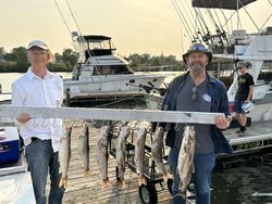 7 lake trout and coho salmon, 17 inches, fishing in WI