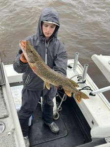 Northern Pike fish caught while fishing in Superior