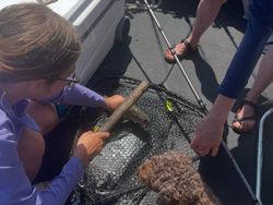 A scenic view of the Superior landscape