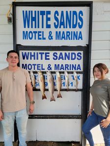 Image of 6 redfish caught during a fishing trip at South Padre Island