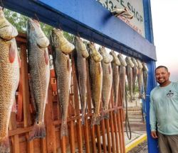 5 redfish caught in TX while fishing