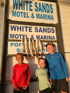 5 spotted weakfish caught on a fishing trip at South Padre Island