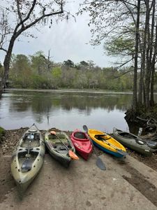 Explore Carrabelle's waters with expert guides!