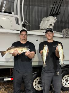 3 redfish, spotted weakfish caught on cruises and fishing trip in Carrabelle