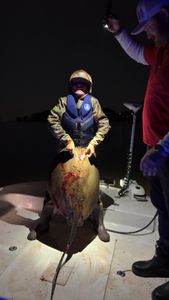 Bluntnose Stingray Catch in Carrabelle Fishing