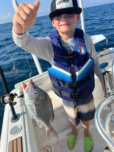 Inshore Bliss: Carrabelle Fishing