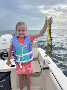 nshore Marvels: FL Fishing, Gag Grouper